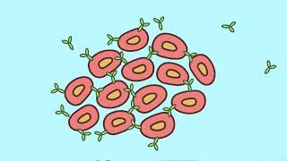 How to Sort Cells The Flow Cytometry Facility at USC Stem Cell [upl. by Sigismund]