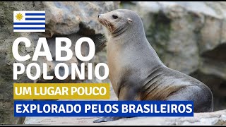 Cabo Polonio  Uruguai  Bate e volta de Punta del Este  Geo e Ale [upl. by Ahsinat]