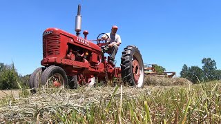 Raking Hay with the Farmall H [upl. by Stich]