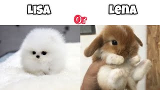 Lisa or Lena animals edition [upl. by Aicilla457]