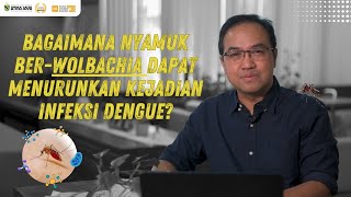 Bagaimana Nyamuk BerWolbachia Dapat Menurunkan Kejadian Infeksi Dengue [upl. by Bjork]