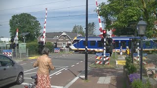 Spoorwegovergang Den Dolder  Dutch railroad crossing [upl. by Riordan]