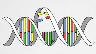 How UV Causes Cancer and Aging [upl. by Arriaes]