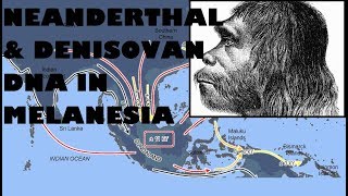 Denny  Denisovan Neanderthal Hybrid [upl. by Mcwilliams]