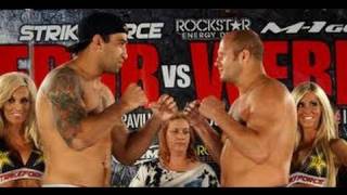 Fedor Emelianenko vs Fabricio Werdum  MMA [upl. by Ytirev]