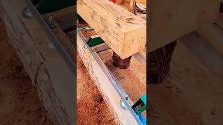 pin oak lumber milled on the woodland mills portable bandsaw [upl. by Ymot666]