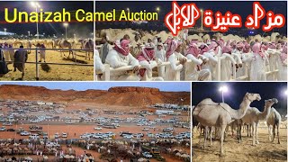 مزاد عنيزة للابل القصيم 🐫 🐪 🐫 السعودية unaizahcamelauction مزادعنيزةللابل [upl. by Engel]