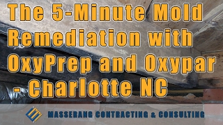 The 5Minute Mold Remediation with OxyPrep and Oxypar  Charlotte NC [upl. by Bendix]