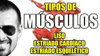 Tipos de Músculos Liso Estriado Cardíaco e Esquelético  Sistema Muscular  VideoAula 081 [upl. by Noiraa508]