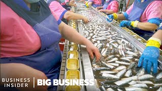 How The World’s LongestRunning Sardine Cannery Packs 60 Million Cans A Year  Big Business [upl. by Hennessey]