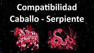 Compatibilidad Caballo  Serpiente Horóscopo Chino [upl. by Friedman]