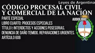 Artículo 606  Código Procesal Civil y Comercial Argentino [upl. by Ailido]