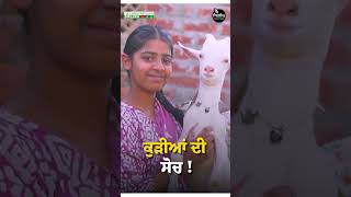 ਕੁੜੀਆਂ ਦੀ ਸੋਚ  Saanen Goat Farming Saanen goatfarming bakri bakrifarm goat shorts [upl. by Aiblis]