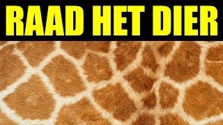 Kan jij deze 10 dieren raden [upl. by Yhtac]