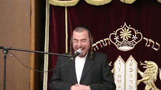 Cantor Yaakov Y Stark Live Kel Malei Maariv Sfira 2023 Williamsburg [upl. by Nealey251]