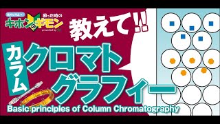 【意外と役立つ消耗品基礎動画】教えて！カラムクロマトグラフィー～カラムクロマトグラフィーの基本原理～ [upl. by Dream184]