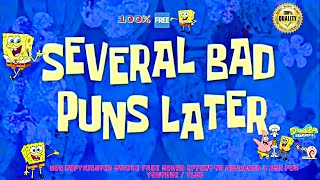 Several Bad Puns Later  Spongebob Time Cards🔥Sound Effect🔊👍🏻No Copyright Strike 100 Free to Use [upl. by Brandi]