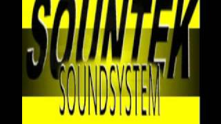 MICHAEL PALMER DUBPLATE quotSOUND BOY DEADquot REGGAE DUB [upl. by Bael543]