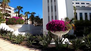 Tenerife Playa de las Americas walk along hotels H10 Las Palmeras and Spring Vulcano Teneriffa [upl. by Lehcsreh]