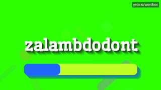 HOW TO SAY ZALAMBDODONT zalambdodont [upl. by Stanhope336]