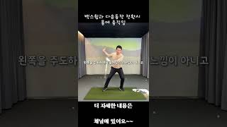 임연석프로 골프레슨  백스윙과 다운스윙 전환시 올바른 몸에 움직임 골프 골프레슨 임연석프로 [upl. by Nera]