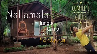 NALLAMALA Jungle Camp  PACHERLA  330kms from Hyderabad  Cinematic [upl. by Yonita]