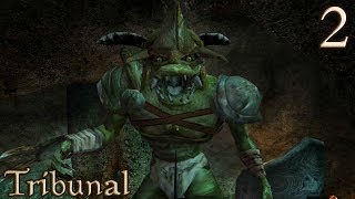 02 Goblins Under Godsreach — Morrowind Tribunal [upl. by Uokes]