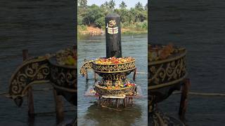 Ome namah shivayHar Har Mahadev shambhuytshortsshortsshivaratri vibeLord shiva festivalEtipaka [upl. by Telrats]