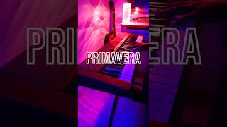 Primavera  Ludovico Einaudi  Piano Cover  piano pianocover shorts [upl. by Ahearn]