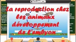 la reproduction chez les animaux  développement de lembryon [upl. by Kain]