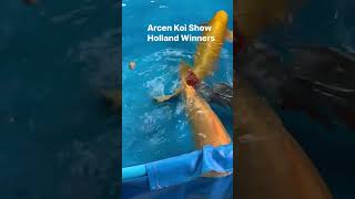 Arcen Koi Show Holland Winners 2023 [upl. by Devol]