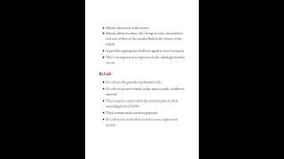 Juxtaglomerular apparatus notes 🗒️ PHYSIOLOGY medicalconcepts28 [upl. by Marven]