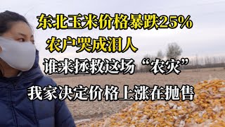 已经确定东北玉米暴跌25％，农民疯狂抛售，去年11左右现在8毛左右，我家决定等价格回暖在卖吧！也有可能继续跌！我们该怎么办呢，种地的东北农户咋办啊！ [upl. by Cresida]