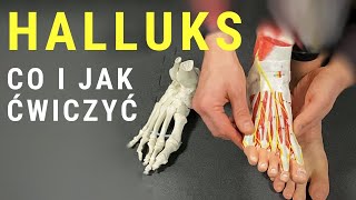 HALLUKSHALUKS  jakie ćwiczenia na paluch koślawy  dr n med Marcin Wytrążek [upl. by Marko]