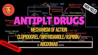 ANTIPLATELET DRUGS Mechanism of action Side effects of Clopidogrel Aspirin Rivaroxaban [upl. by Corry]