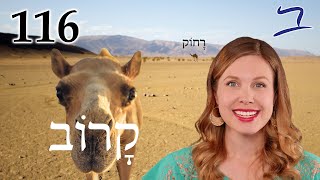 Near amp Far  Biblical Hebrew  Lesson 116 [upl. by Elata]