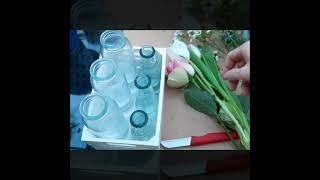 Frühlingsdeko 2024 diy rose tulips spring diycrafts tutorial florist [upl. by Ecyla]