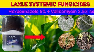 Laxle systemic fungicideshexaconazole 5  validamycin 25 sc  full information [upl. by Ahselet]