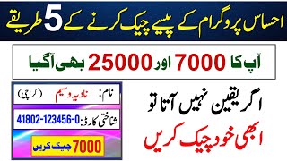 Ehsaas Program Ke Paise Kaise Check Karen  BISP Payment Check By CNIC  7000 Check Karne Ka Tarika [upl. by Wesla]