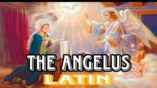 The Angelus By Harpa Dei  Marian Hymn  Latin With English Subtitles  Reuben Mary [upl. by Nidya96]