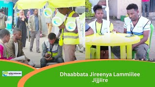 Dhaabbata Jireenya Lammiilee Jijjiire [upl. by Eiknarf]