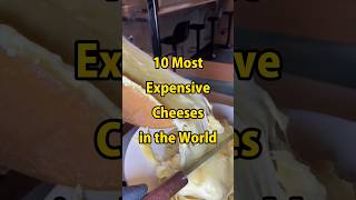 10 Most Expensive Cheeses in the World 😱🧀 shorts food viral [upl. by Rednasxela957]