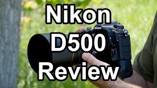 Nikon D500 Review A Wildlife Photographers Perspective [upl. by Bittencourt]