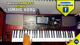 DEMO KORG PA 1000  CON RITMOS Y SAMPLES DE CALIDAD [upl. by Krasnoff]