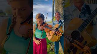 Music on the riverfront☀️🌸🎻🎸 folkfusion contemporaryfolk folkmusician livingbythestream [upl. by Townsend]