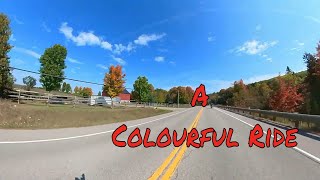 Fall Colours In Canada [upl. by Landri]