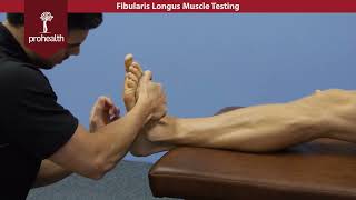 Fibularis Longus Muscle Test Palp Dr Vizniak Muscle Manual [upl. by Ydna241]