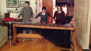 Hoedown from Rodeo by Aaron Copland arranged for marimba [upl. by Hermosa]