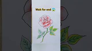 Rose kaise banaye Part 2 shorts trending art drawing viralshorts shortfeed subscribe like [upl. by Aelhsa]