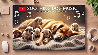 Relaxing Dog Music Soothing Tunes for Puppies amp Mom 2 Hours of Calming Sounds [upl. by Berneta]